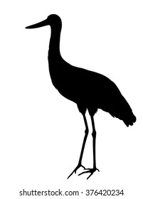 Vector silhouette of standing Black stork.