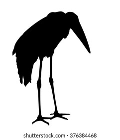 Vector silhouette of standing Marabou stork.