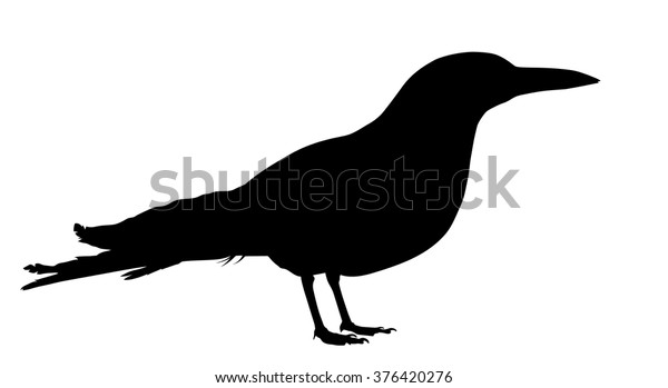 Vector Silhouette Standing Tern Stock Vector (Royalty Free) 376420276 ...