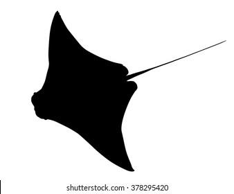 Stingray Illustration Images, Stock Photos & Vectors | Shutterstock