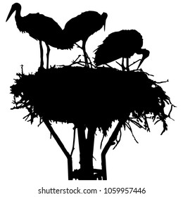 Vector silhouette of storks in the nest on white background. 