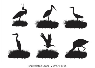 Vector silhouette of storks on grass. Illustration of a flock of storks living in groups in the wild looking for food. Illustration of a living creature like a bird and has wings