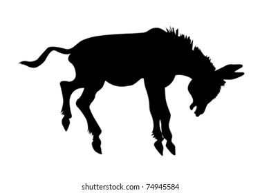 vector silhouette stubborn ass on white background