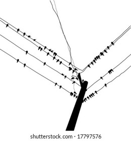 vector silhouette swallow reposing on electric wire