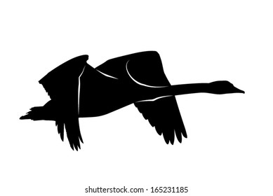Vector silhouette of the Swan in flight.