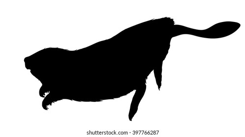 Vector Silhouette Of Swimming Beaver.