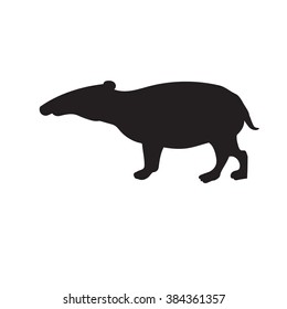 vector silhouette tapir isolated