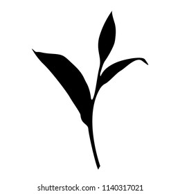 Vector silhouette of tea leaf isolated on white background
