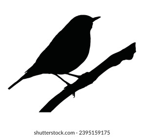 Vector silhouette of the thrush bird on branch tree.