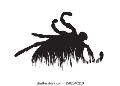 Vector silhouette of tick in the grass on white background. Symbol of animal, insect, wild, nature, park, garden.