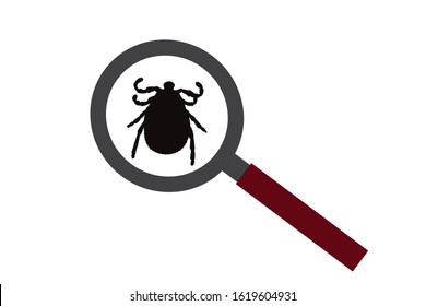 Vector silhouette of tick under magnifying glass on white background. Symbol of insect who annoying people. Danger of Lyme disease and encephalitis.