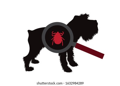 Vector silhouette of tick under magnifying glass sitting on dog on white background. Symbol of insect who annoying animal.