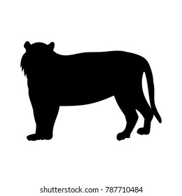 Tiger Silhouette Images, Stock Photos & Vectors | Shutterstock
