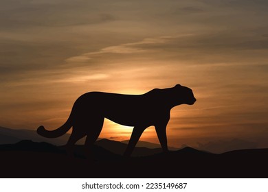 Vector silhouette of tiger on sunset background. Symbol of savanna and Africa.