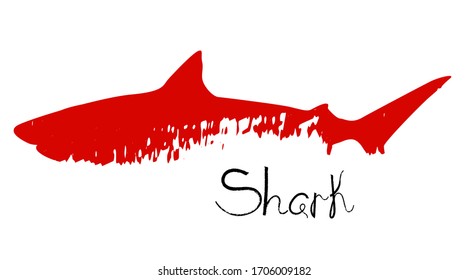 Vektorillustration Silhouette eines Tigerhais in Profil mit Spritzen von Farbe oder Blut und kalligraphische Aufschrift "Hai".