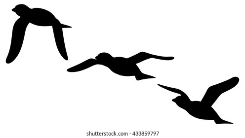 Vector silhouette of the time-lapse sequence of a bird flying through the air.
