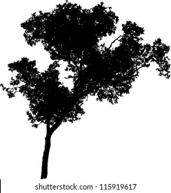 Vector silhouette of a tree