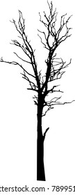 Vector silhouette of a tree