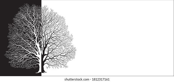 silueta vectorial de un árbol en blanco y negro
