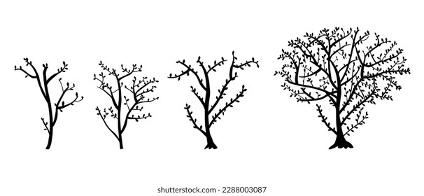 vector silhouette tree branch and leaf, hand draw sketch set 4