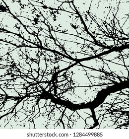 Vector silhouette of a tree branch. Patterns for decoration