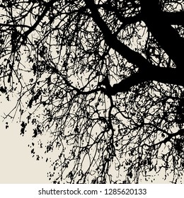 Vector silhouette of a tree branch. Patterns for decoration