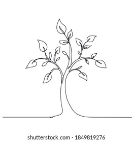 Vector silhouette a tree. Concept. One line drawing. Vector illustration continuous line drawing.