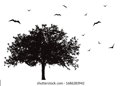 Vector silhouette of tree with flying birds on white background. Symbol of nature.