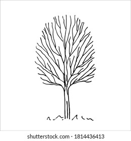 Vektorsilhouette eines Baumes. Isolierte Doodle-Skizze auf weißem Hintergrund.