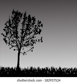 Vector silhouette of tree on a gray background.