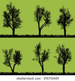 Vector silhouette of tree on a green background.