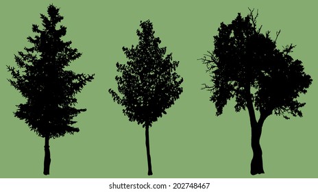 Vector silhouette of tree on green background.