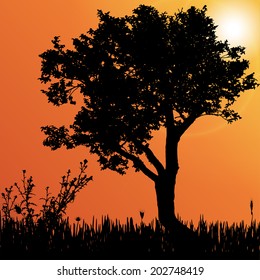 Vector silhouette of tree on the meadow.