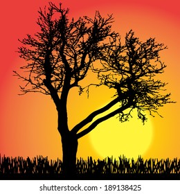 Vector silhouette of tree on a orange background.
