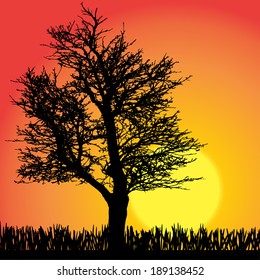 Vector silhouette of tree on a orange background.
