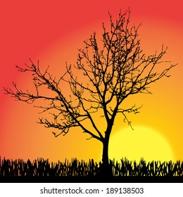 Vector silhouette of tree on a orange background.