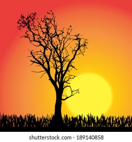 Vector silhouette of tree on a orange background.