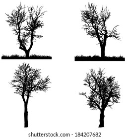 Vector silhouette of tree on a white background.