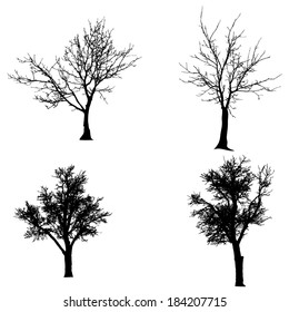 Vector silhouette of tree on a white background.