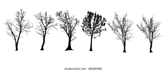 Vector silhouette of tree on a white background.