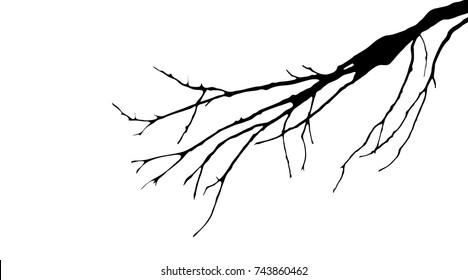 Vector silhouette of tree on white background.