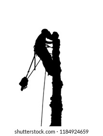 Vector silhouette of a tree surgeon at the top of a tree with a chainsaw.The Arborist has a safety harness and ropes