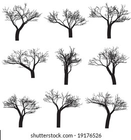 Vector - Silhouette of trees with branches. Isolated and in black.