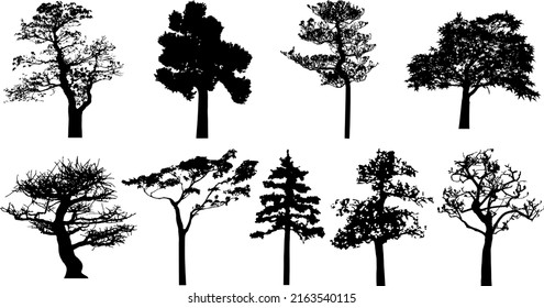 Vector silhouette of trees. Isolated eps 10.