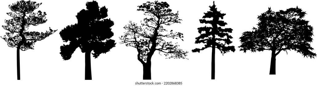 Vector silhouette of trees. Isolated eps 10.