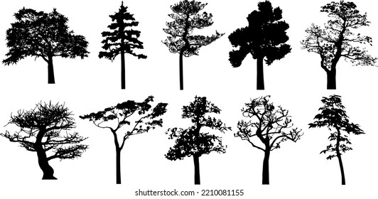 Vector silhouette of trees. Isolated eps 10.