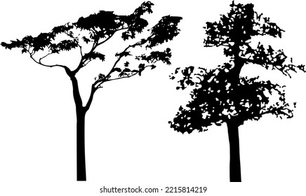 Silueta vectorial de los árboles. Pasos aislados 10.