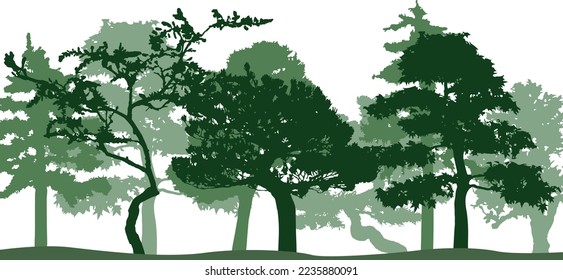 Vector silhouette of trees. Isolated eps 10.