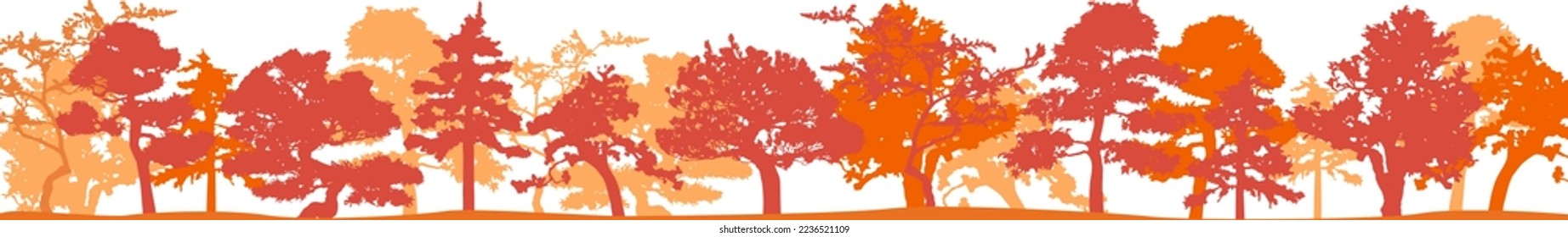 Vector silhouette of trees. Isolated eps 10.