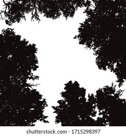 Vector silhouette of trees on white background. Symbol of forest.